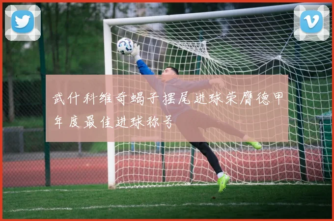 武什科维奇蝎子摆尾进球荣膺德甲年度最佳进球称号