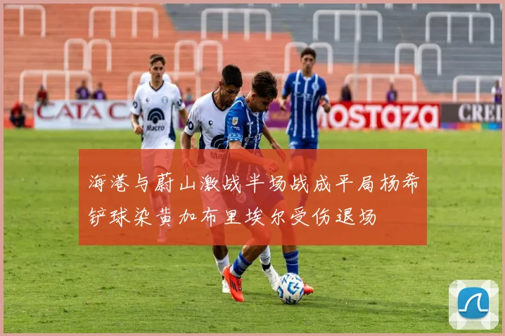 海港与蔚山激战半场战成平局杨希铲球染黄加布里埃尔受伤退场