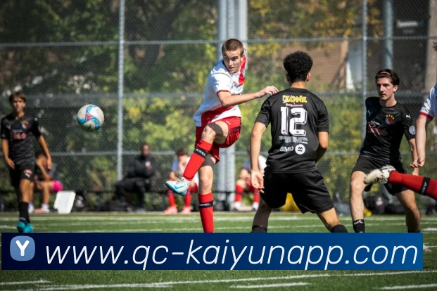 开云体育服务体系